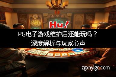PG电子游戏维护后还能玩吗？深度解析与玩家心声